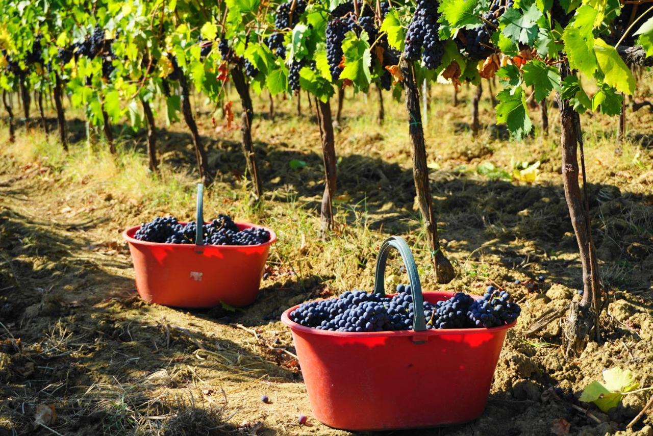 Fattoria Lornano Winery Villa มอนเตริจโจนี ภายนอก รูปภาพ